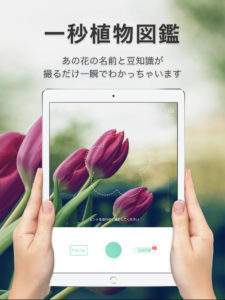 PictureThis