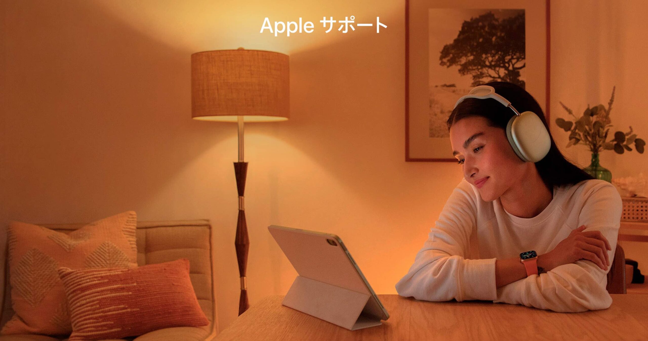 AppleSupportTop